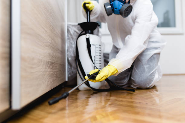 Best Best Pest Control Companies  in Rowland Heights, CA