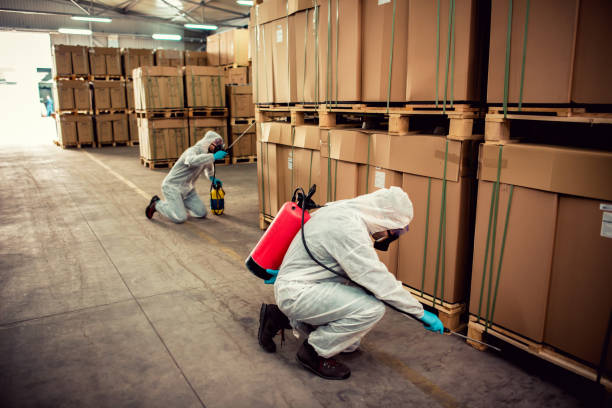 Reliable Rowland Heights, CA Pest Control Solutions
