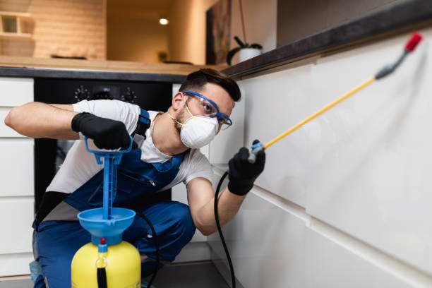 Best Best Pest Control Near Me  in Rowland Heights, CA