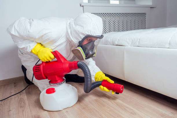 Best Rodent Control Near Me  in Rowland Heights, CA
