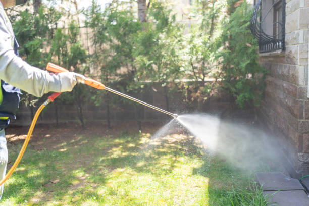 Best Wasp Removal Services  in Rowland Heights, CA
